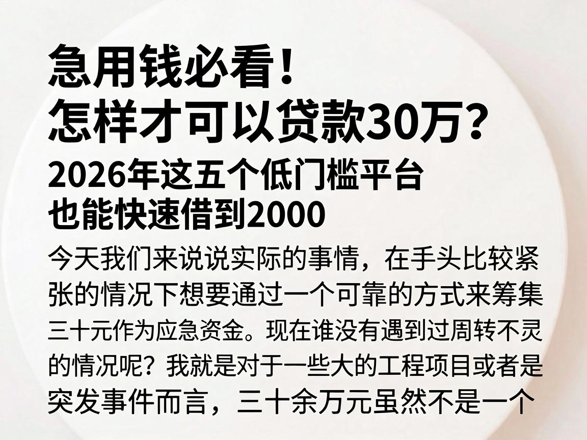 急用钱必看!怎样才可以贷款30万?2026年这五个低门槛平台也能快速借到2000