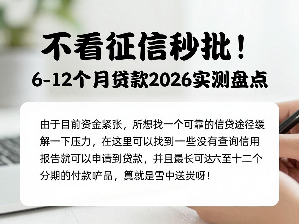 不看征信秒批!6-12个月贷款2026实测盘点