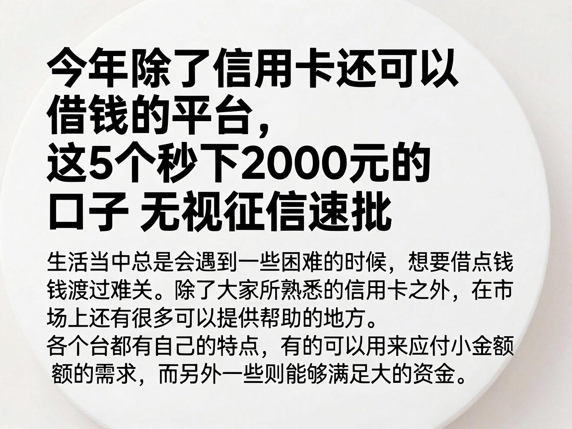 今年除了信用卡还可以借钱的平台，这5个秒下2000元的口子无视征信速批