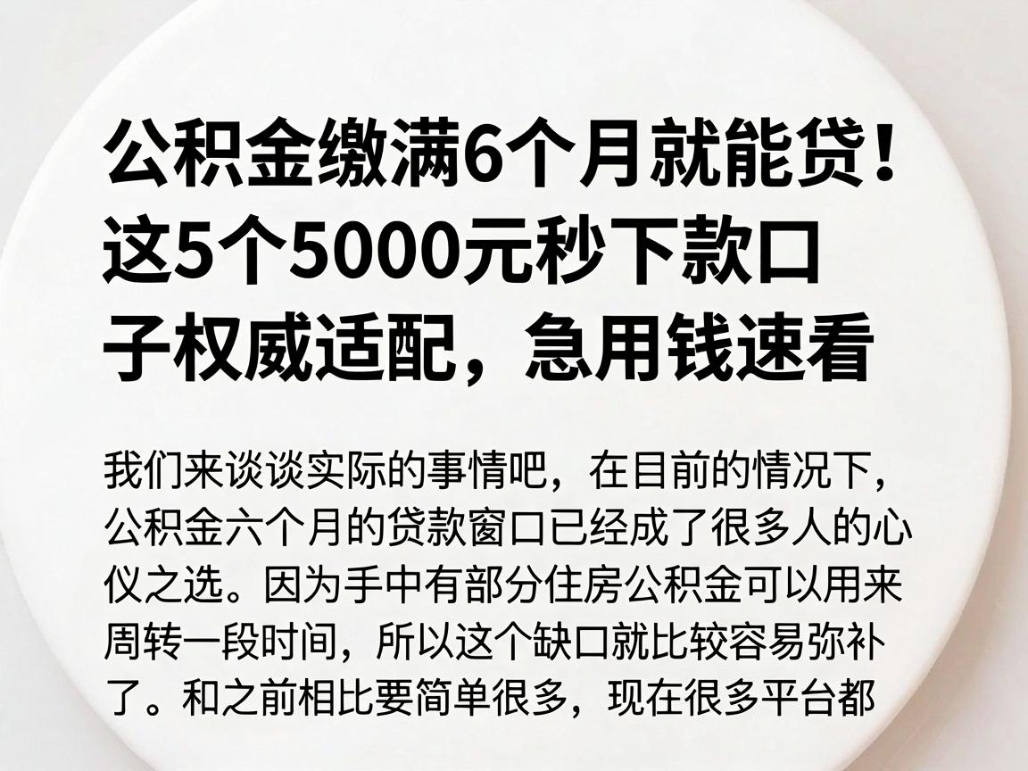 公积金缴满6个月就能贷!这5个5000元秒下款口子权威适配,急用钱速看