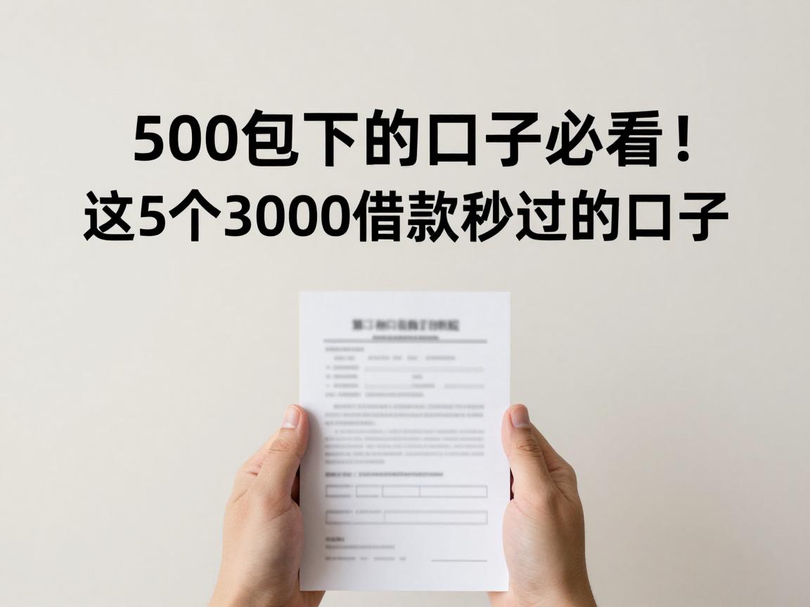 500包下的口子必看！这5个3000借款秒过的口子千万别错过