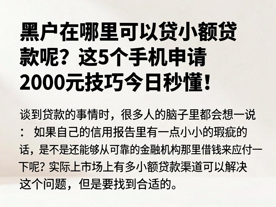 黑户在哪里可以贷小额贷款呢?这5个手机申请2000元技巧今日秒懂!
