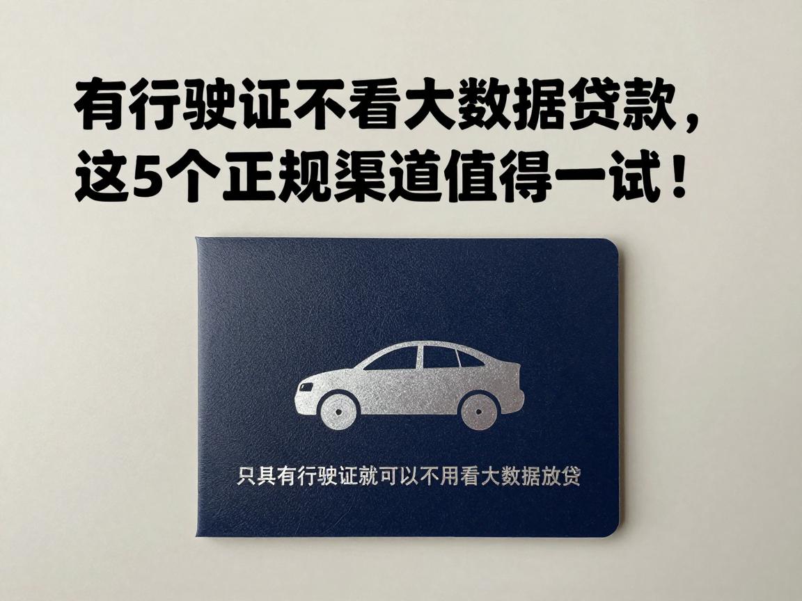 有行驶证不看大数据贷款，这5个正规渠道值得一试！