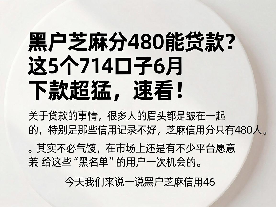 黑户芝麻分480能贷款？这5个714口子6月下款超猛，速看！