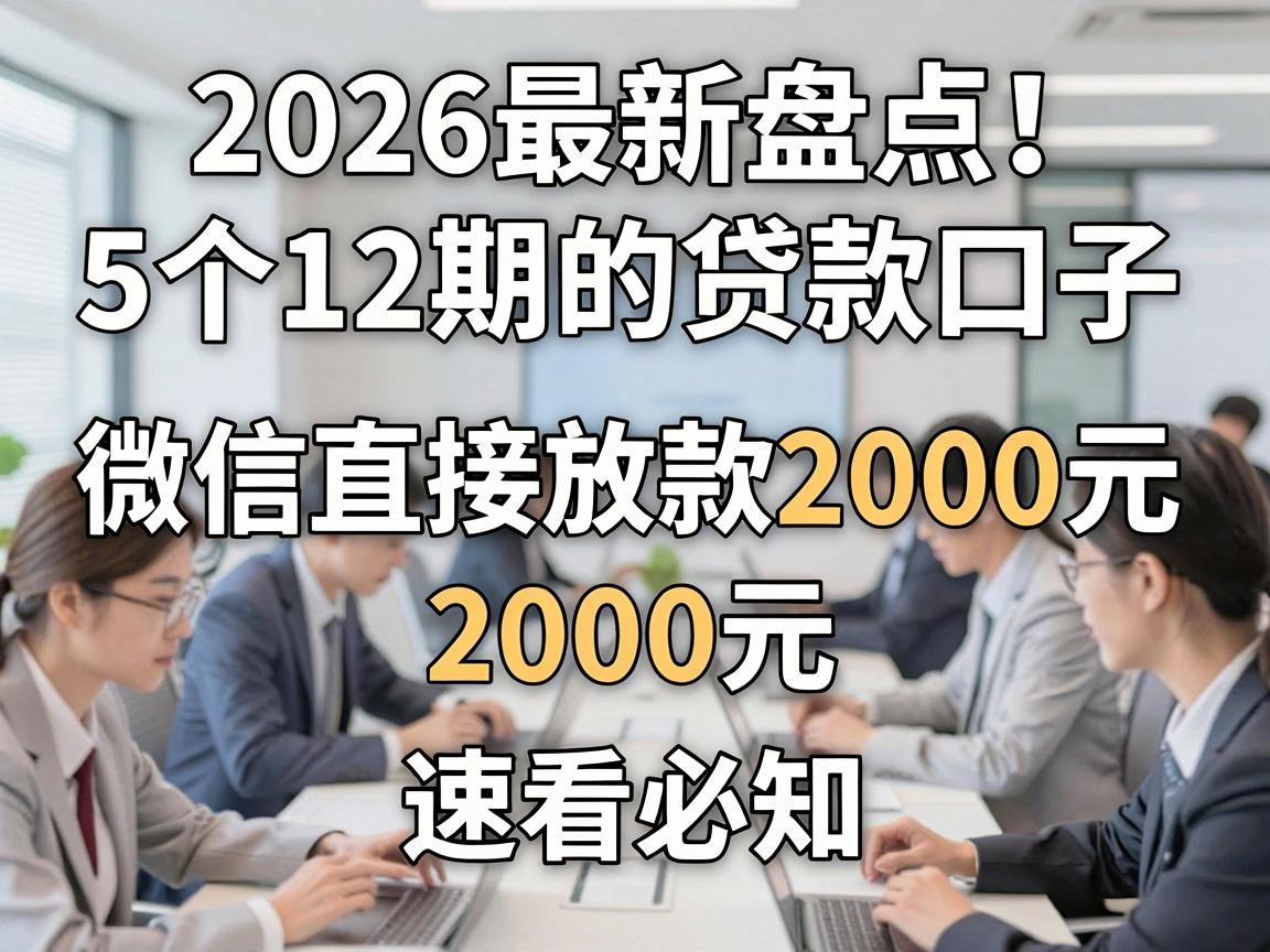 2026最新盘点！5个12期的贷款口子，微信直接放款2000元，速看必知