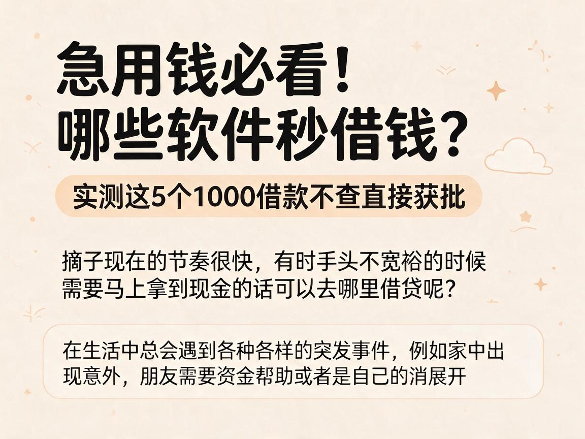 急用钱必看！哪些软件秒借钱？实测这5个1000借款不查直接获批
