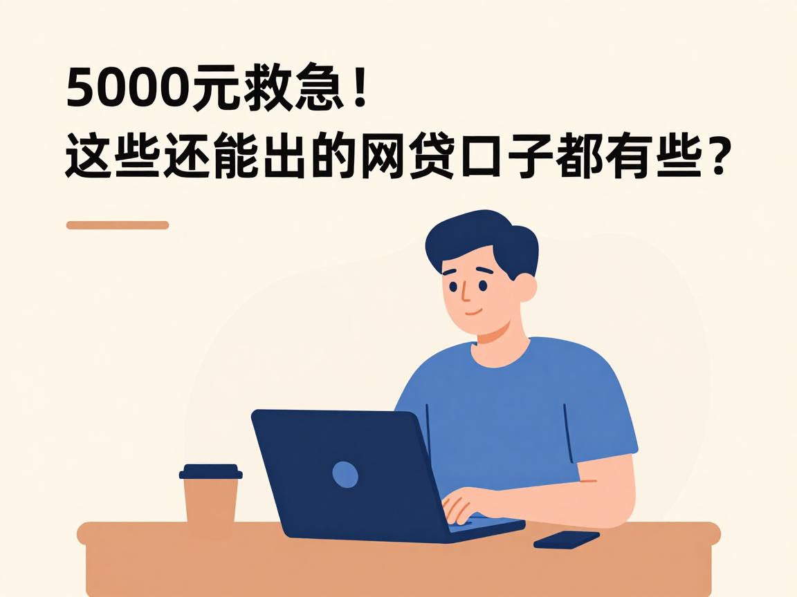 5000元救急！这些还能出的网贷口子都有哪些？对条件要求不高，手头紧的速看