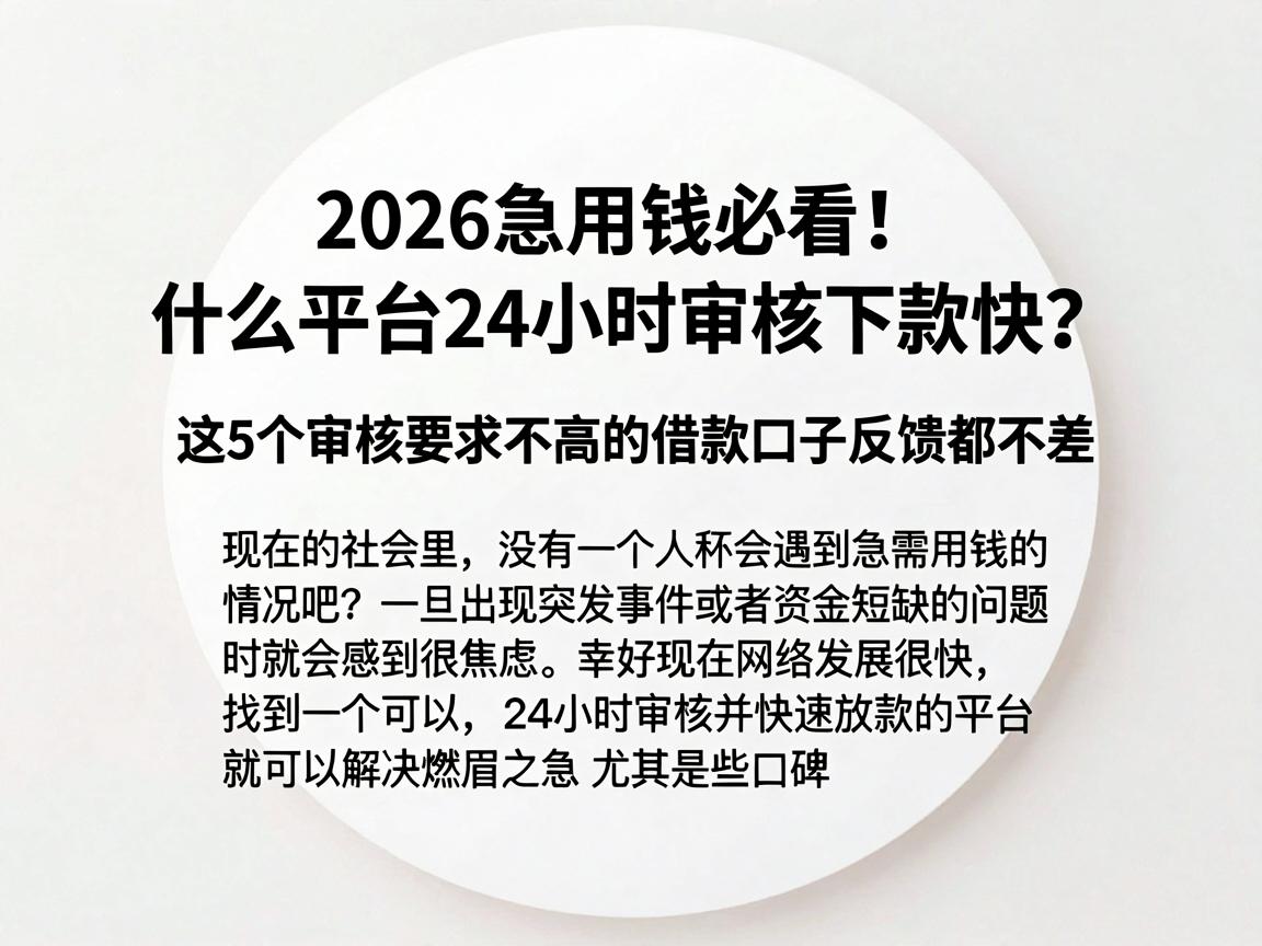 2026急用钱必看！什么平台24小时审核下款快？这5个审核要求不高的借款口子反馈都不差
