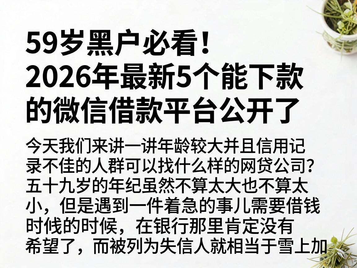 59岁黑户必看！2026年最新5个能下款的微信借款平台公开了