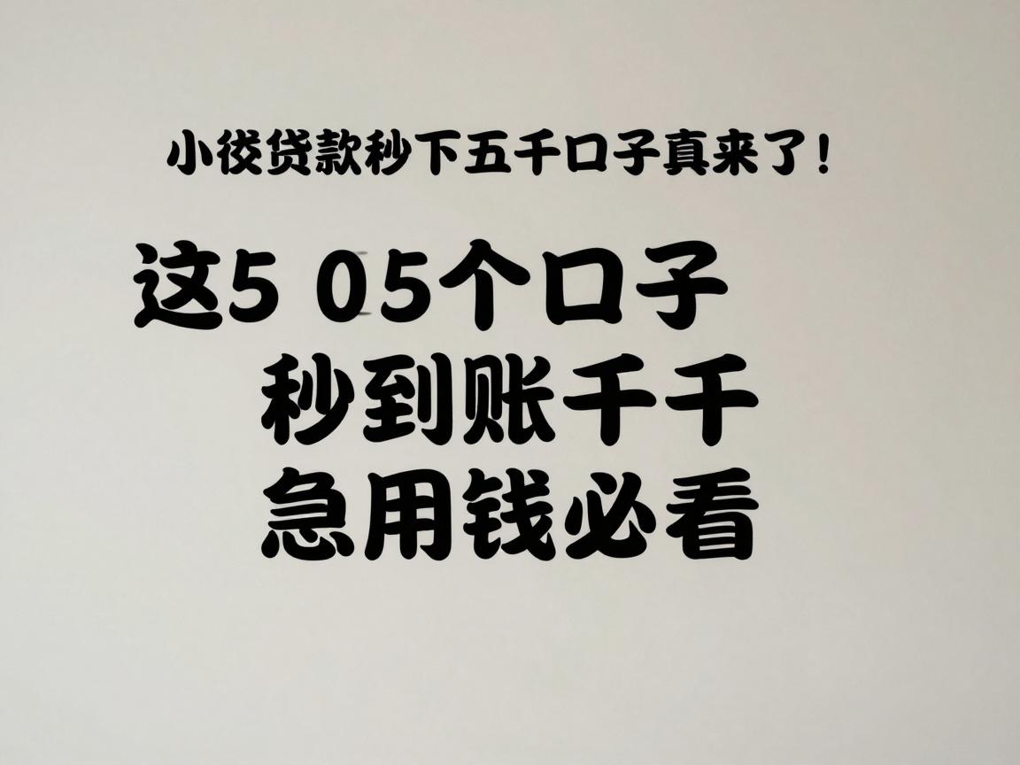 小额贷款秒下五千口子真来了！这5个口子秒到账五千，急用钱必看