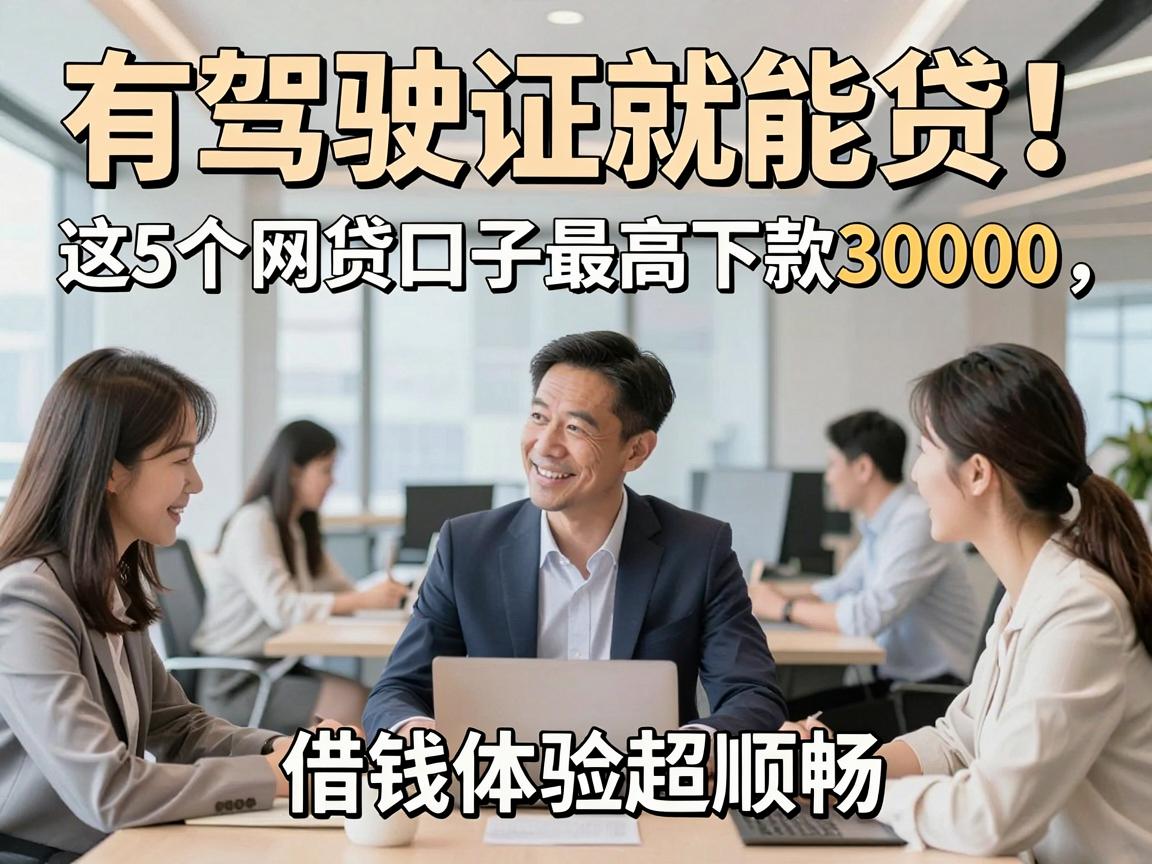 有驾驶证就能贷！这5个网贷口子最高下款30000，借钱体验超顺畅