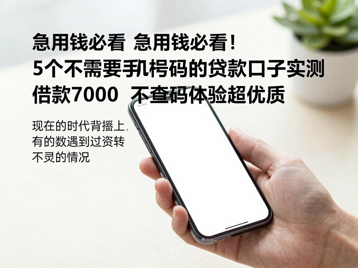急用钱必看！5个不需要手机号码的贷款口子实测，借款7000不查号码体验超优质