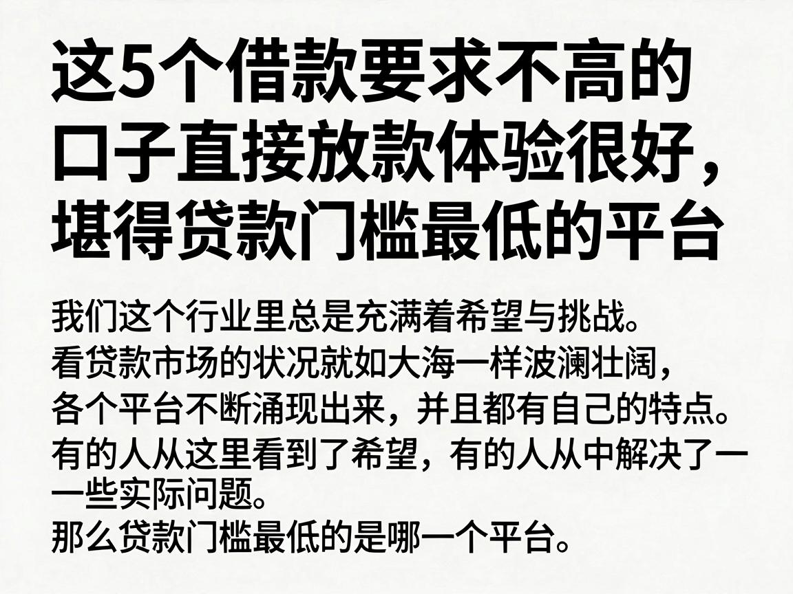 这5个借款要求不高的口子直接放款体验很好，堪称贷款门槛最低的平台