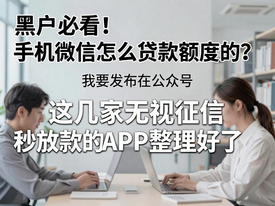 黑户必看!手机微信怎么贷款额度的?这几家无视征信秒放款的APP整理好了