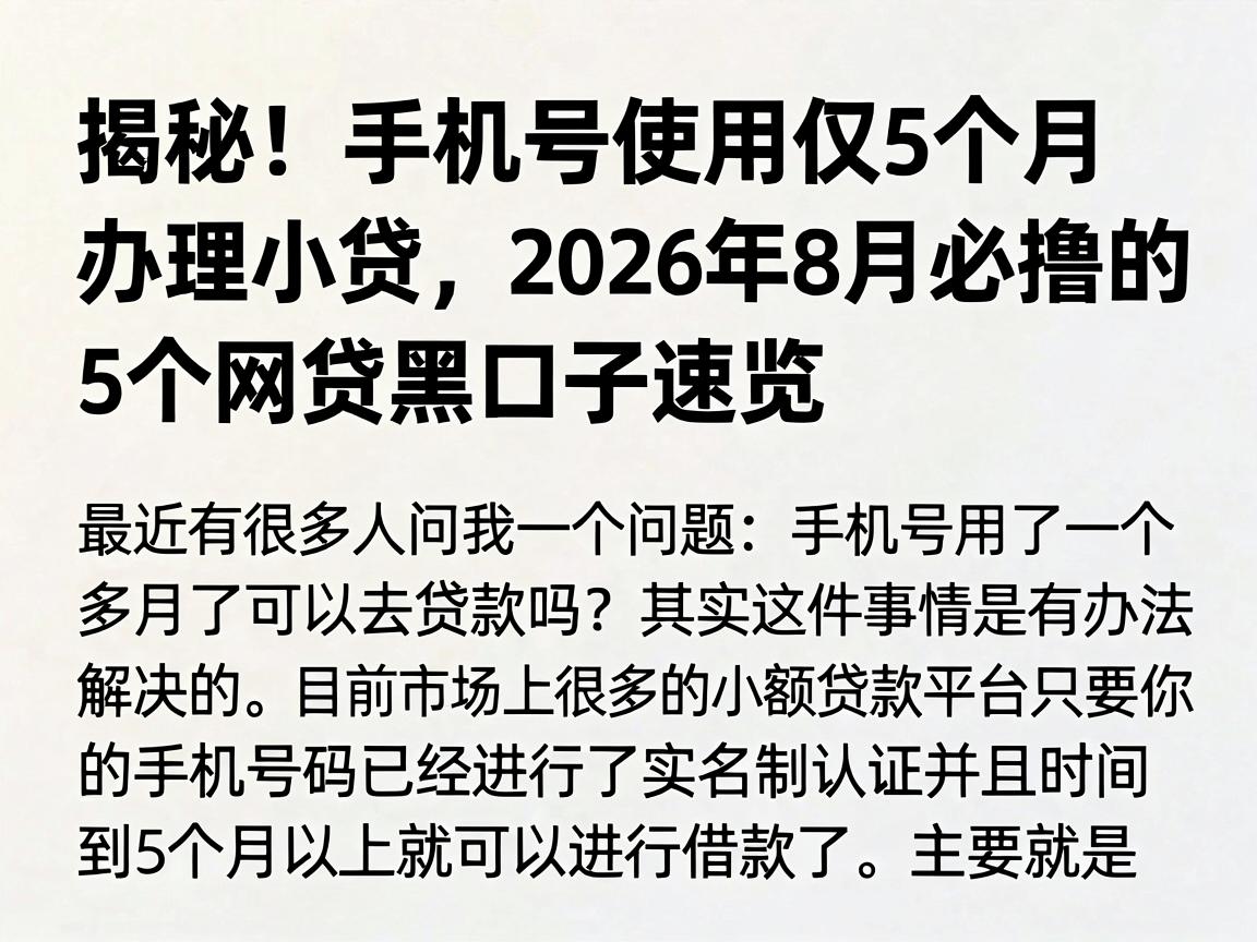 揭秘！手机号使用仅5个月办理小贷，2026年8月必撸的5个网贷黑口子速览
