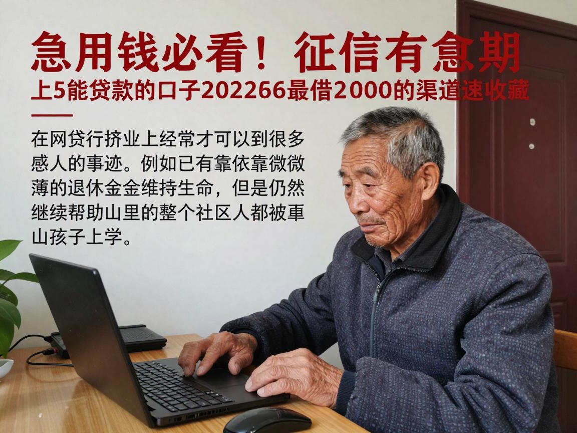 急用钱必看！征信有逾期65岁以上能贷款的口子2026最新盘点，这些能借2000的渠道速收藏