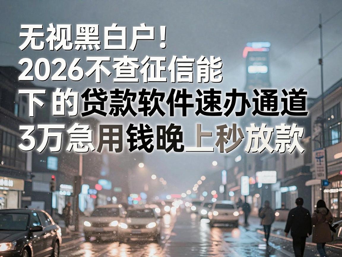 无视黑白户！2026不查征信能下的贷款软件速办通道，3万急用钱晚上秒放款