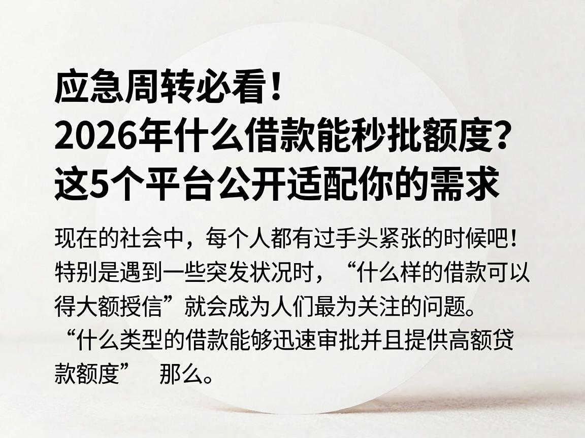 应急周转必看！2026年什么借款能秒批额度？这5个平台公开适配你的需求