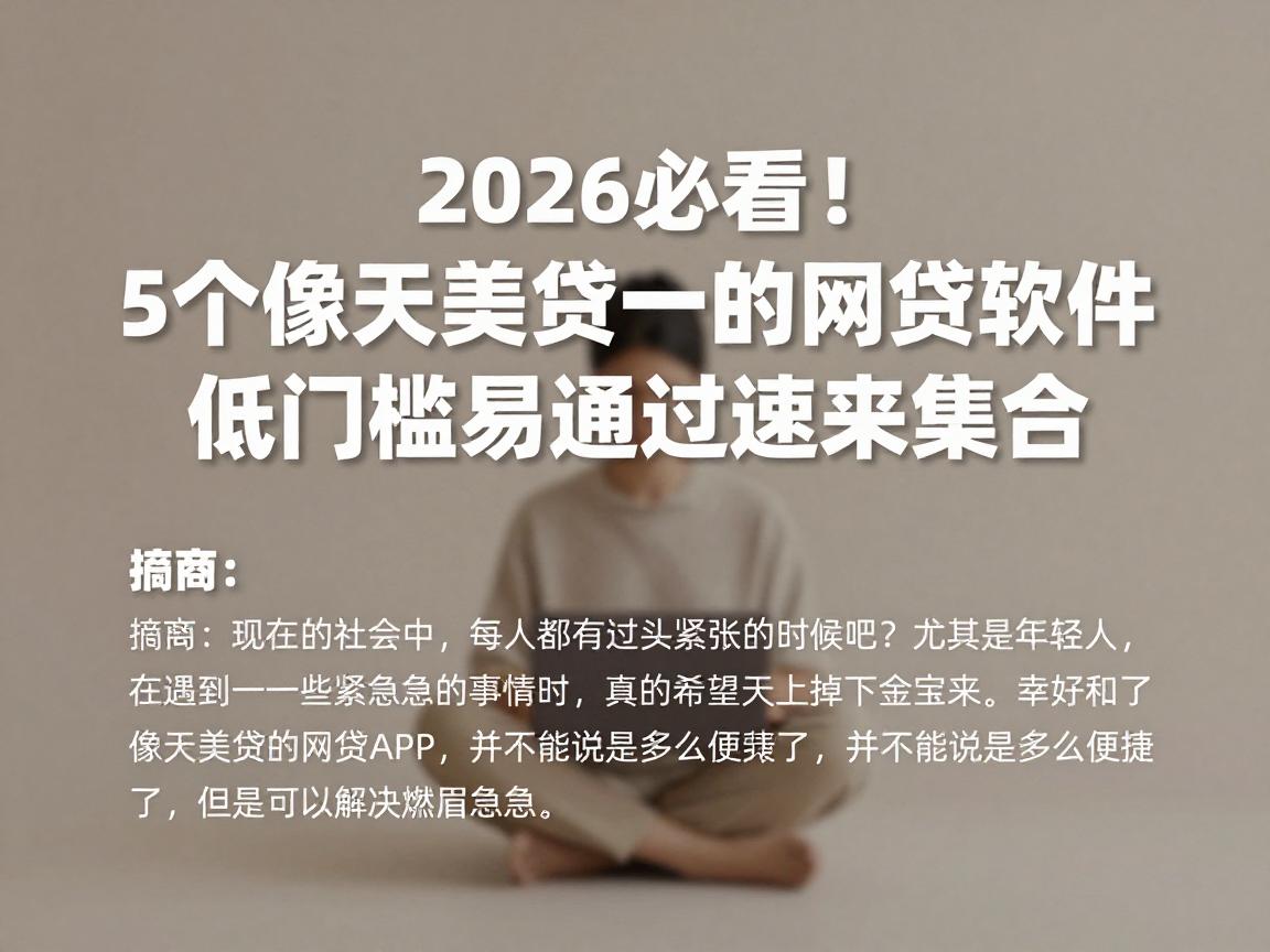 2026必看！5个像天美贷一样的网贷软件，低门槛易通过速来集合