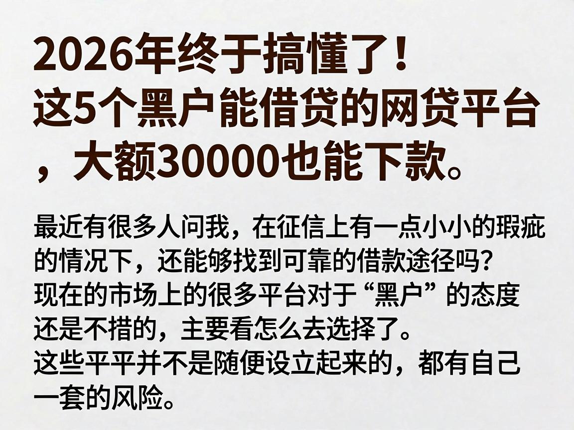 2026年终于搞懂了！这5个黑户能借贷的网贷平台，大额30000也能下款