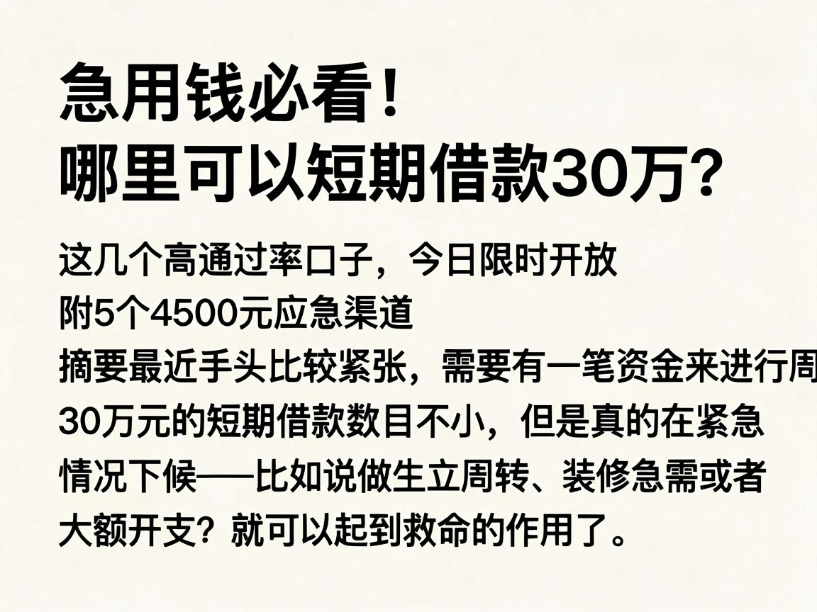 急用钱必看！哪里可以短期借款30万？这几个高通过率口子今日限时开放，附5个4500元应急渠道