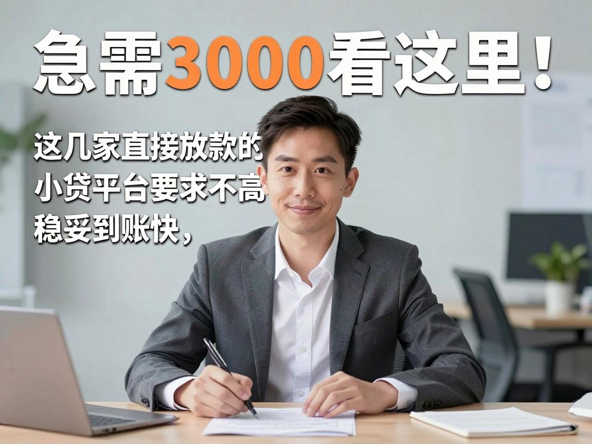 急需3000看这里！这几家直接放款的小贷平台要求不高，稳妥到账快