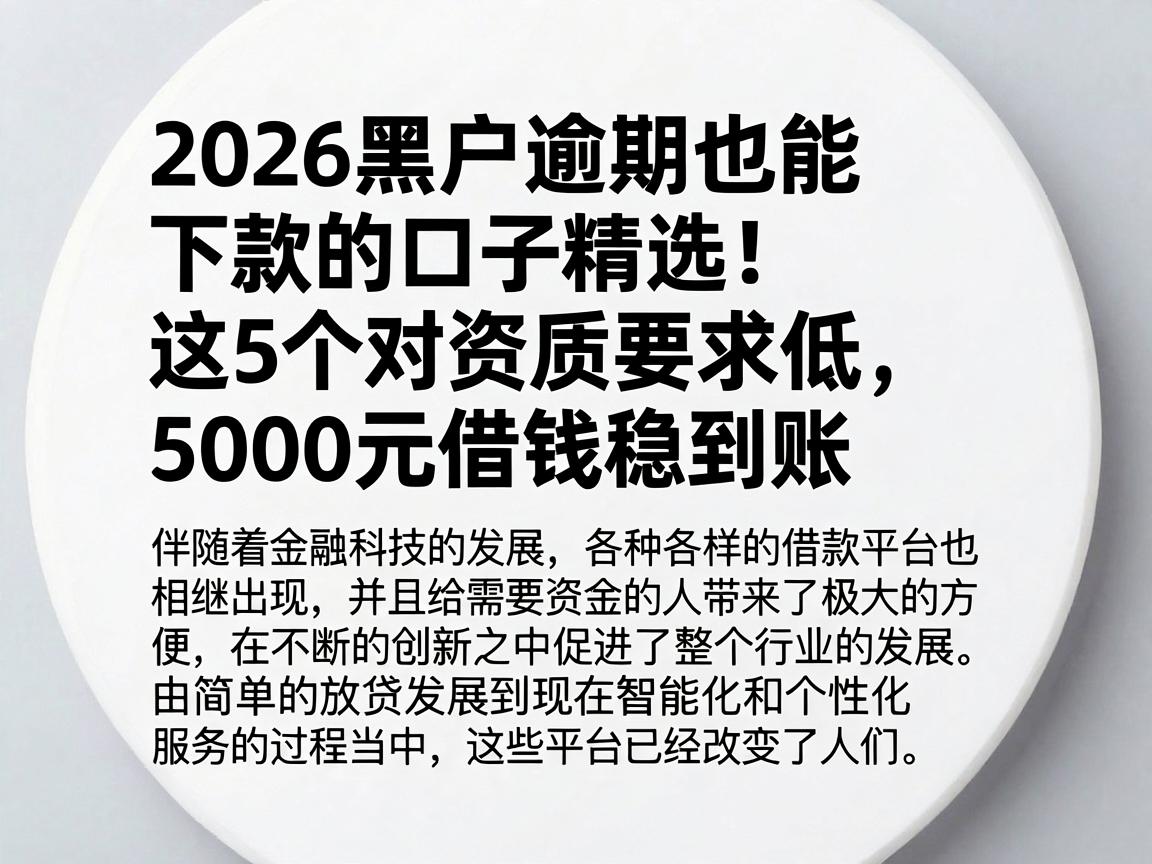 2026黑户逾期也能下款的口子精选！这5个对资质要求低，5000元借钱稳到账