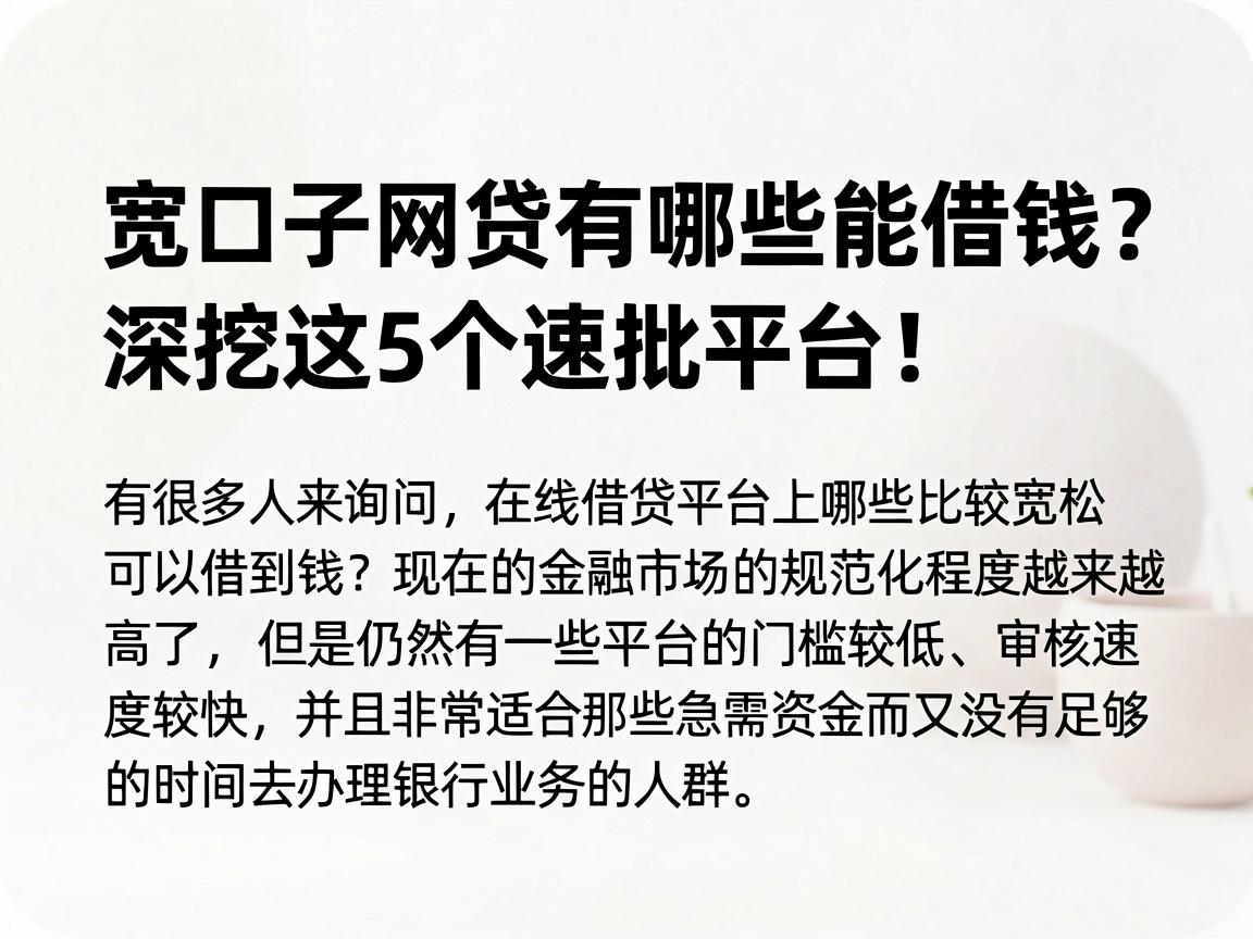 宽口子网贷有哪些能借钱？深挖这5个速批平台！