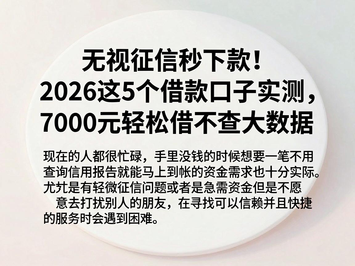 无视征信秒下款！2026这5个借款口子实测，7000元轻松借不查大数据