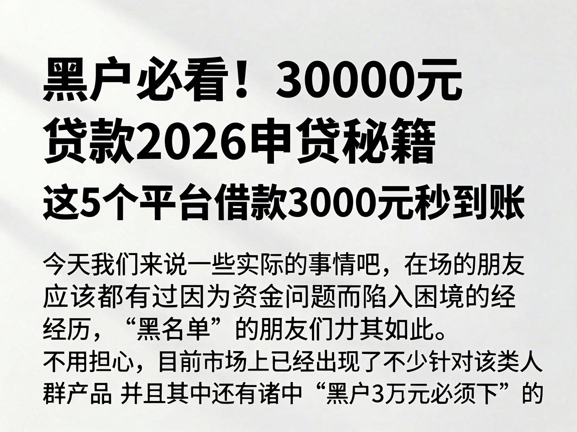 黑户必看!30000元贷款2026申贷秘籍,这5个平台借款3000元秒到账