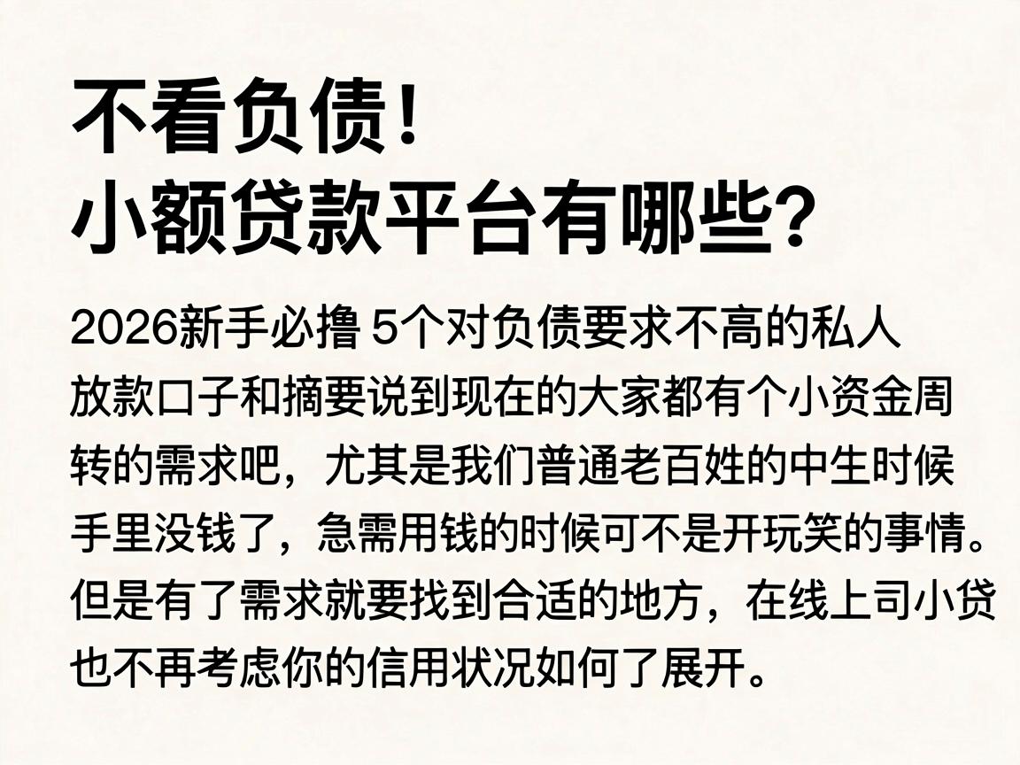 不看负债！小额贷款平台有哪些？2026新手必撸5个对负债要求不高的私人放款口子