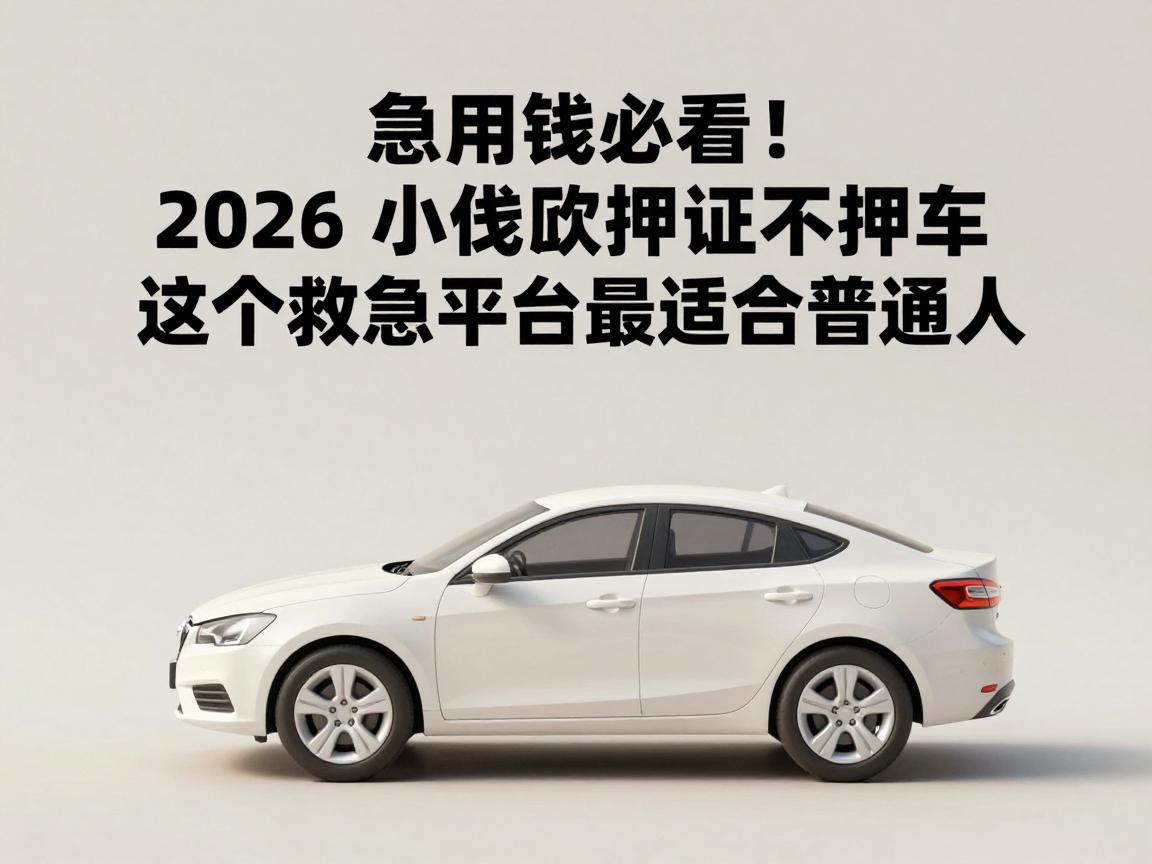 急用钱必看！2026小额贷款押证不押车，这个救急平台最适合普通人