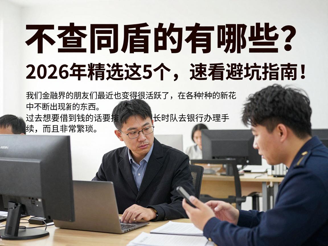 不查同盾的有哪些?2026年精选这5个,速看避坑指南!