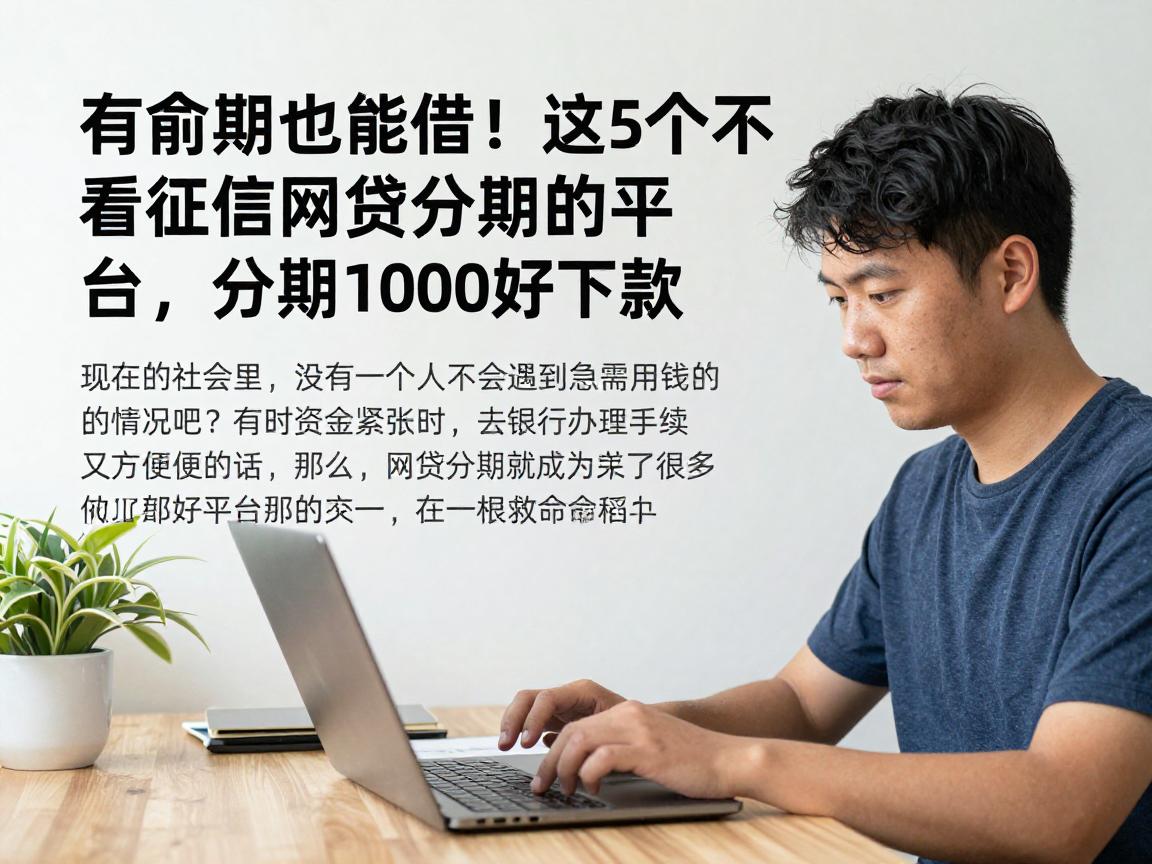 有逾期也能借!这5个不看征信网贷分期的平台,分期1000好下款
