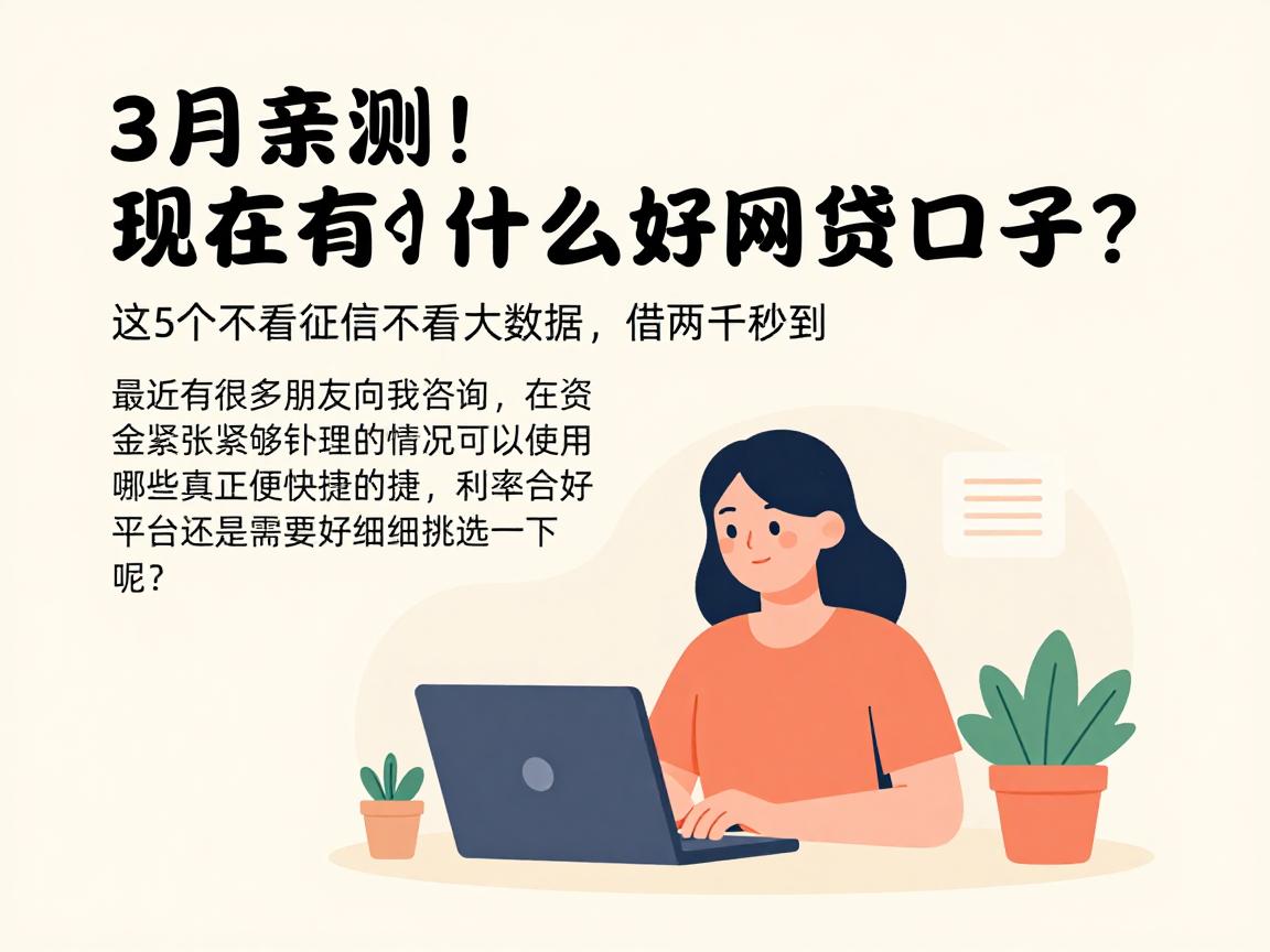 3月亲测！现在有什么好网贷口子？这5个不看征信不看大数据，借两千秒到