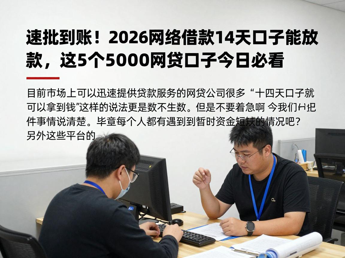 速批到账！2026网络借款14天口子能放款，这5个5000网贷口子今日必看