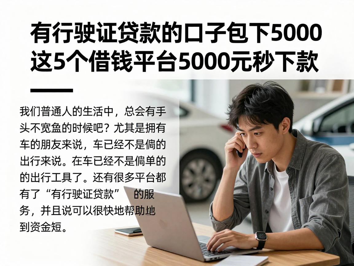 有行驶证贷款的口子包下5000，这5个借钱平台5000元秒下款
