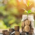 2025兴业白金卡提额 独家花式提额技术揭秘